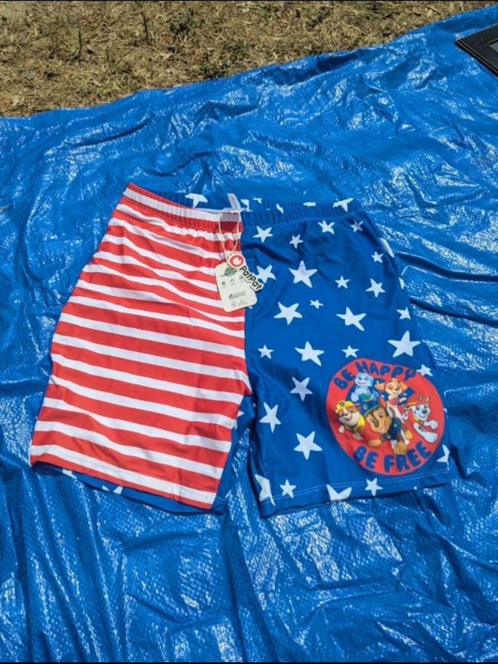 Men's Patriotic Paw Patrol Swim Shorts